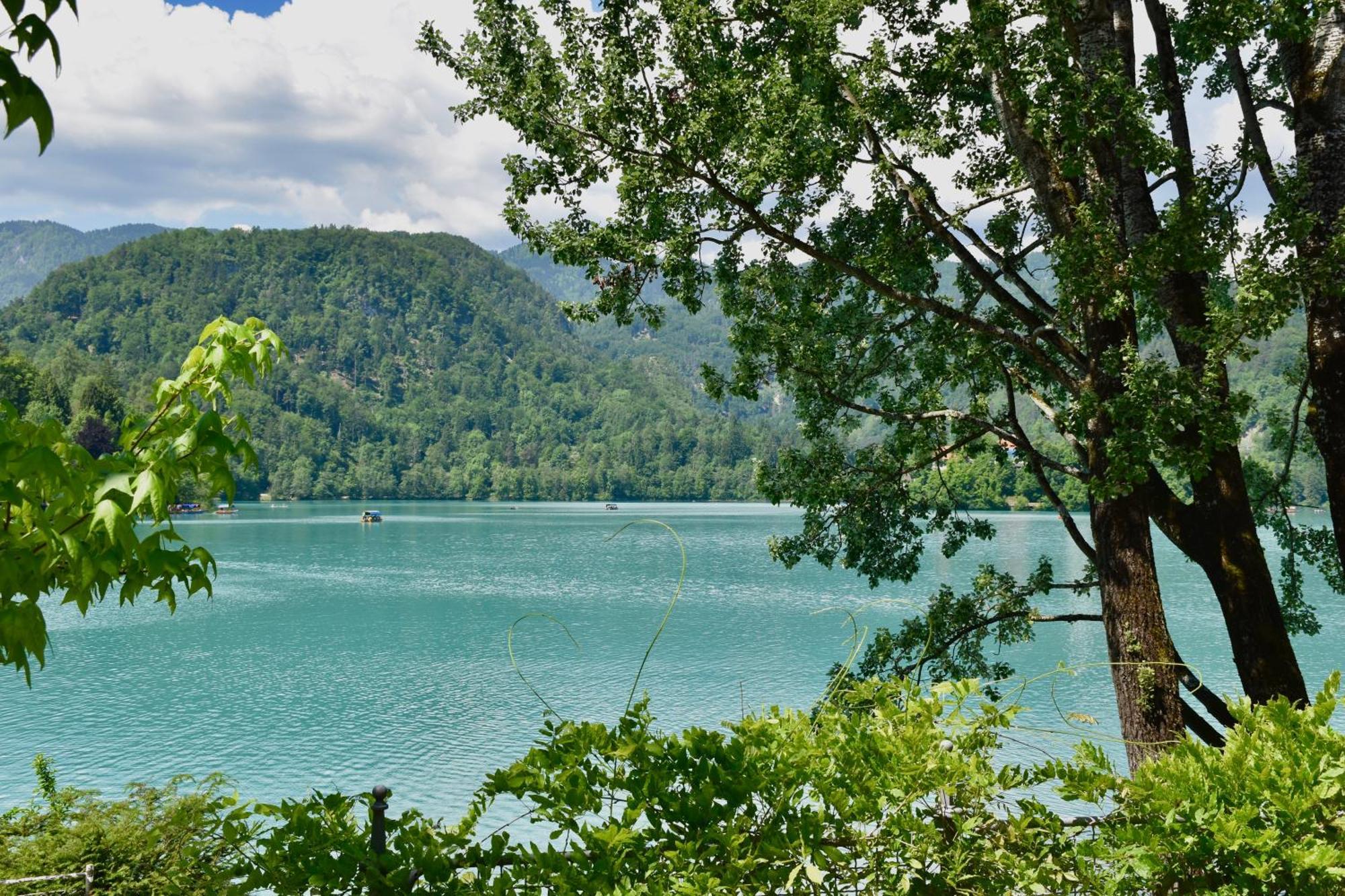 Adora Luxury Hotel Bled Eksteriør bilde